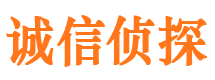 南漳市调查公司